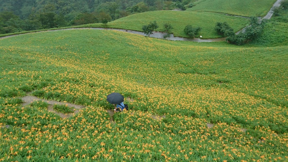 大腳ㄚ步道 摘星樓